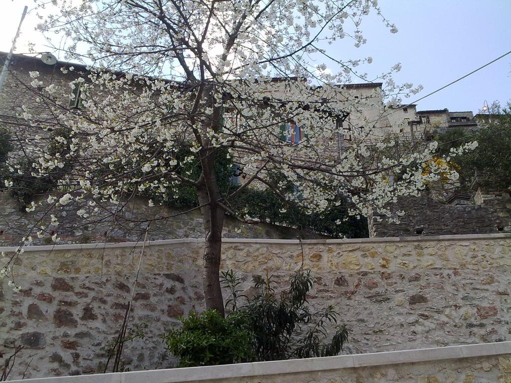 ארונה Il Paradiso Nel Borgo מראה חיצוני תמונה